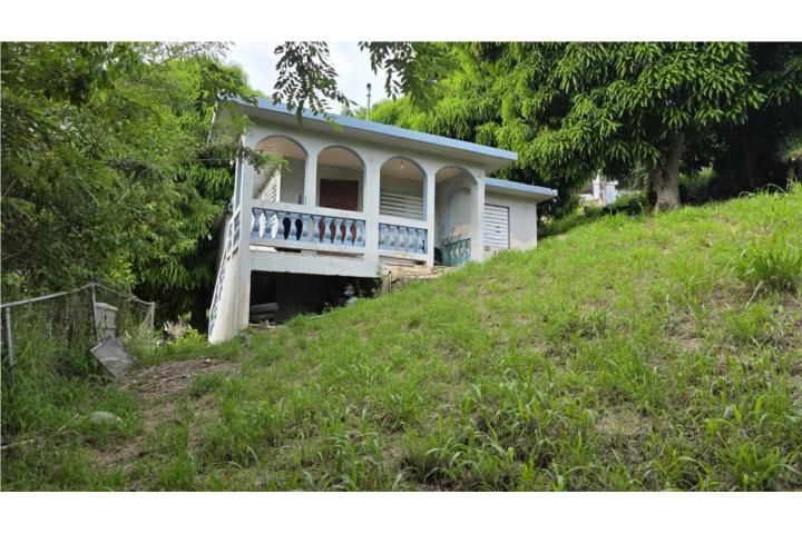 Buena Vista Cayey 00736 PR