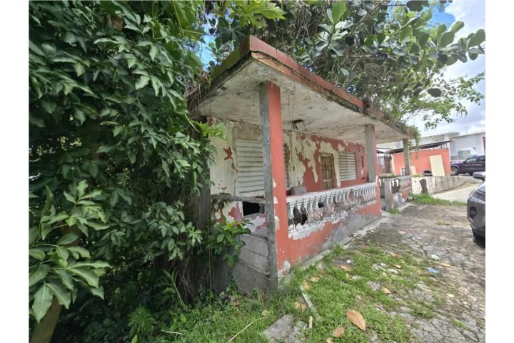 Lomas Canovanas 00729 PR