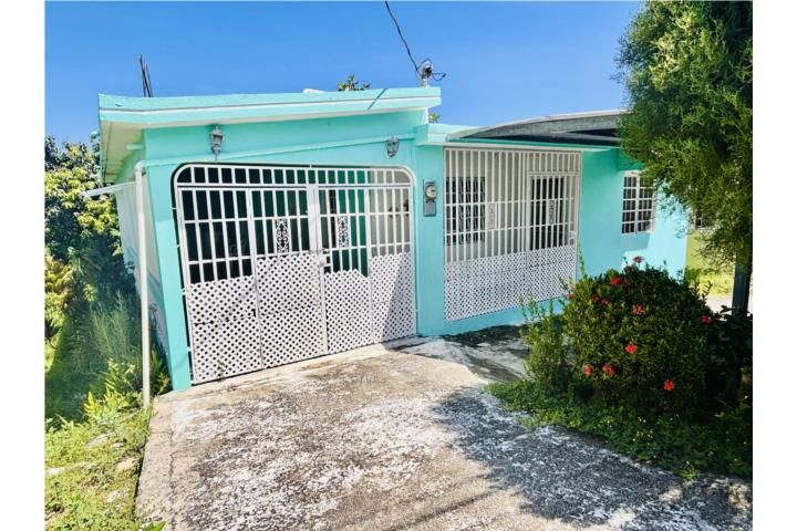 Aguacate Yabucoa 00767 PR