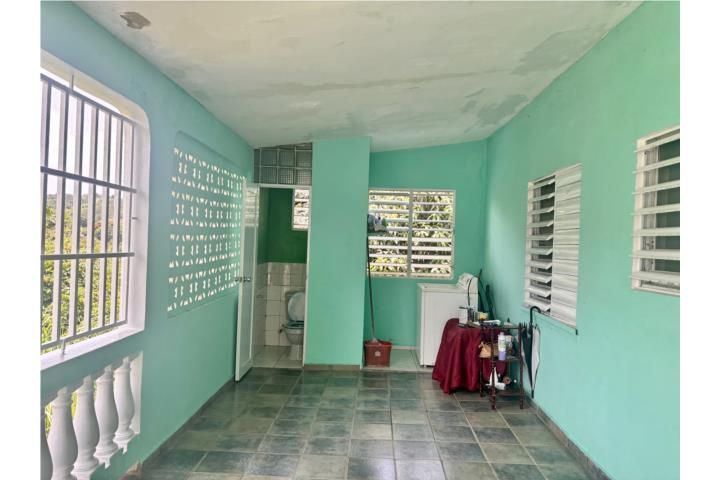 Aguacate Yabucoa 00767 PR