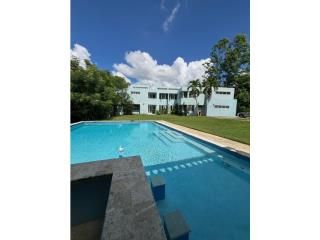 Navarro Gurabo 00778 PR