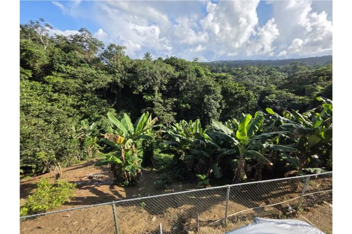 Caguana Utuado 00641 PR