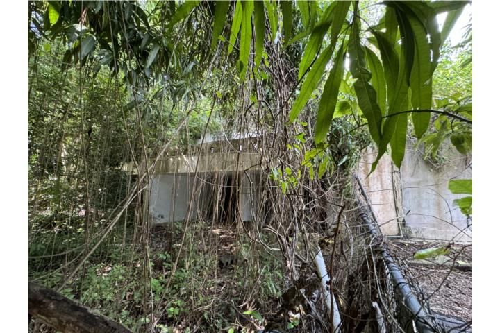 Quebrada Grande Mayaguez 00680 PR