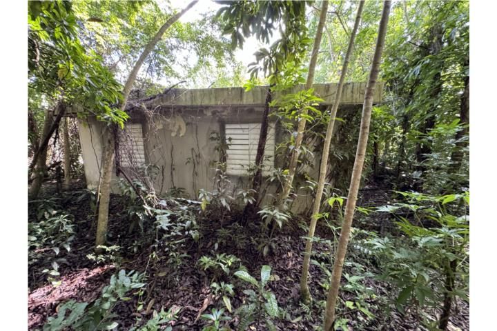Quebrada Grande Mayaguez 00680 PR