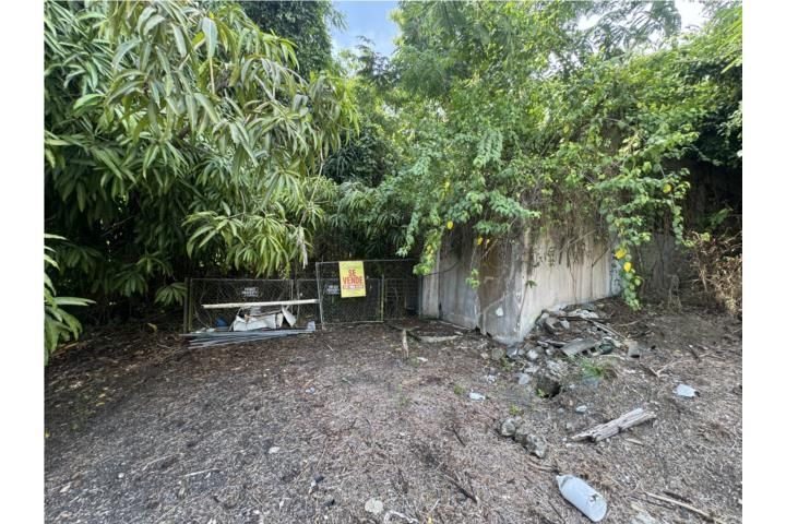 Quebrada Grande Mayaguez 00680 PR