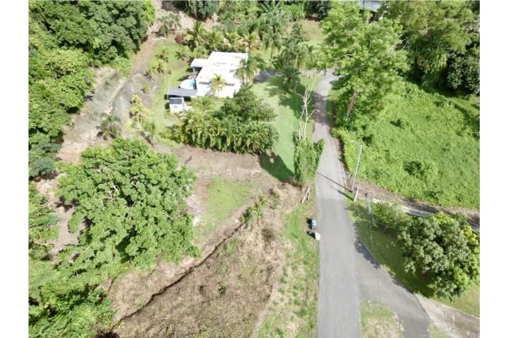 Quebrada Grande Mayaguez 00680 PR