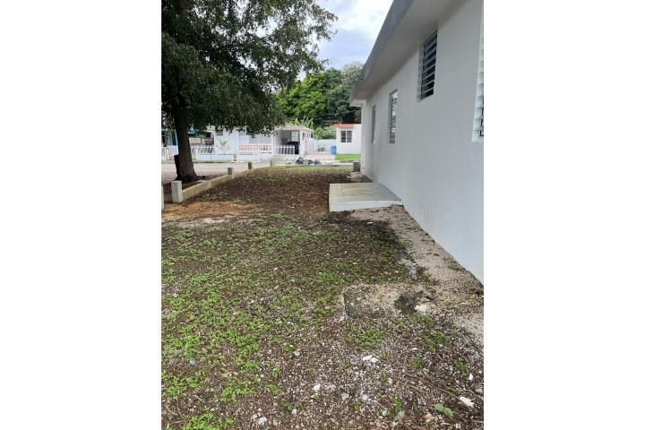 Lucchetti Yauco 00698 PR