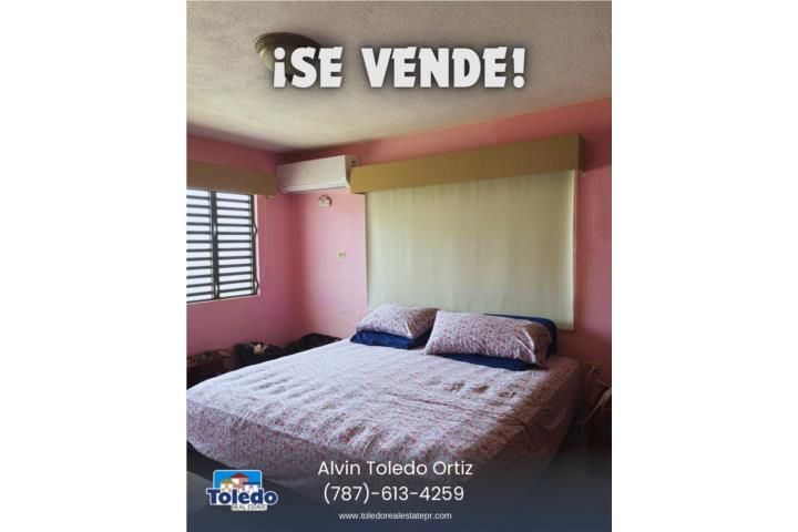 Calle Paz Arecibo 00612 PR