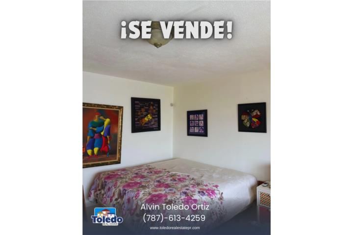 Calle Paz Arecibo 00612 PR