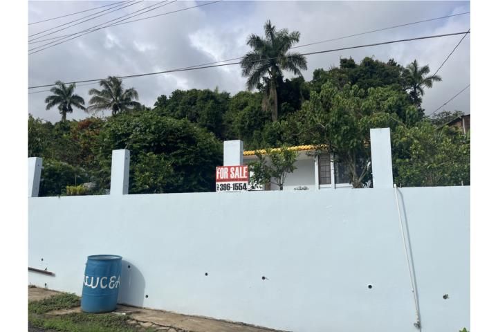 Yahuecas Adjuntas 00601 PR