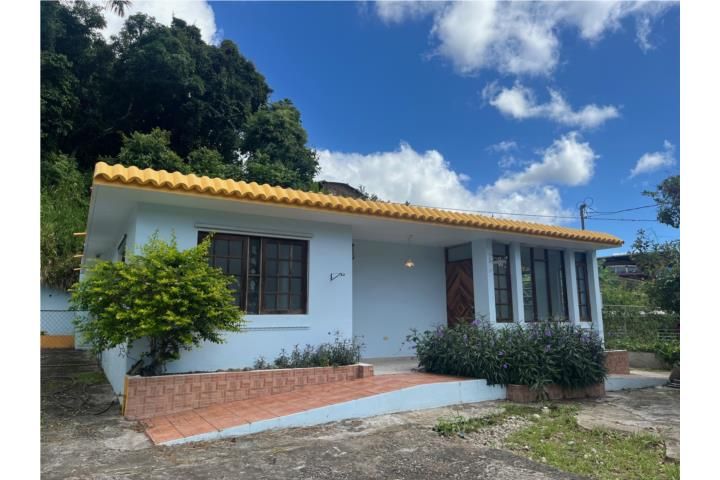 Yahuecas Adjuntas 00601 PR