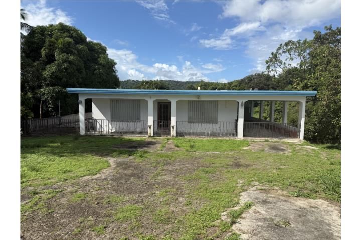 Limones Yabucoa 00767 PR