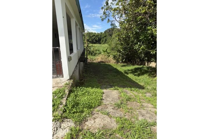 Limones Yabucoa 00767 PR