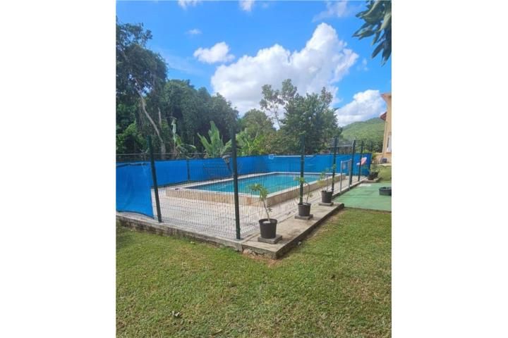 Pitahaya Arroyo 00714 PR