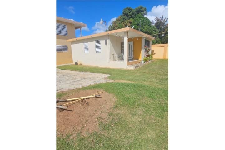 Pitahaya Arroyo 00714 PR