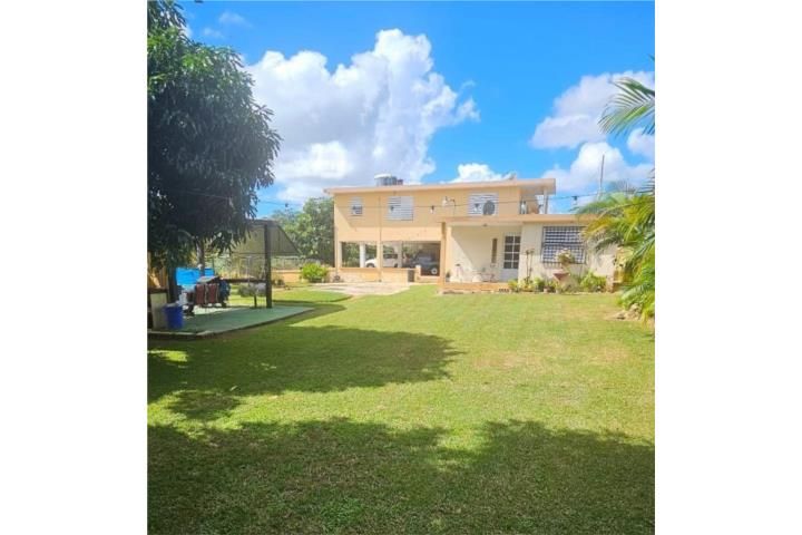 Pitahaya Arroyo 00714 PR