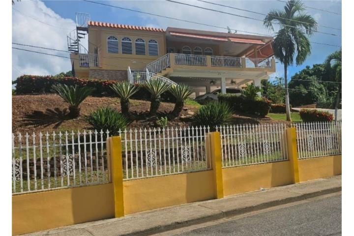 Pitahaya Arroyo 00714 PR