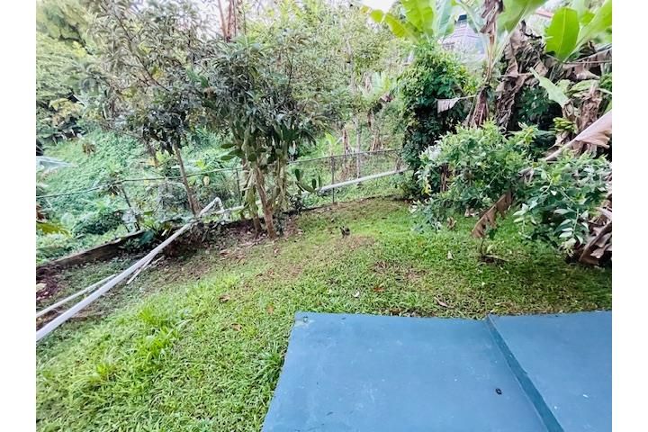 Caguana Utuado 00641 PR