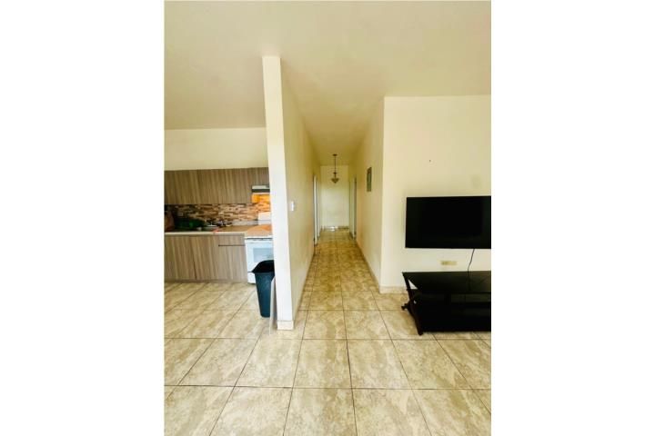 Doña Elena Comerio 00782 PR
