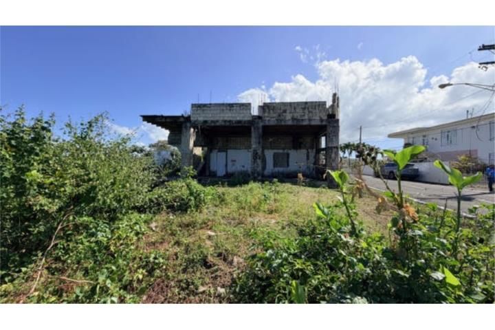 Limón Mayaguez 00680 PR