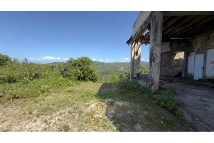Limón Mayaguez 00680 PR