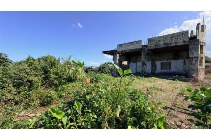 Limón Mayaguez 00680 PR