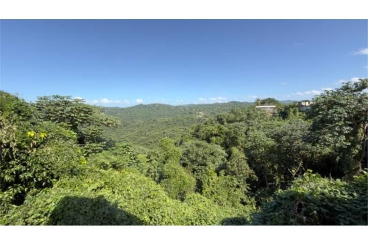 Limón Mayaguez 00680 PR