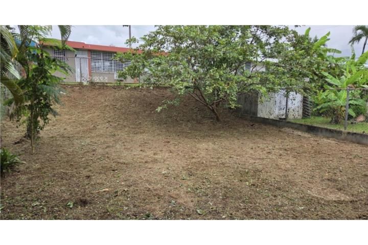 C. La Providencia Bayamon 00956 PR