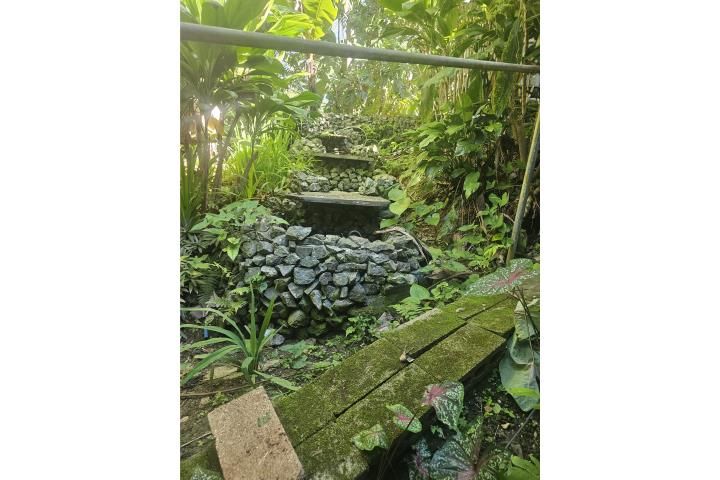 Jagüeyes Aguas Buenas 00703 PR