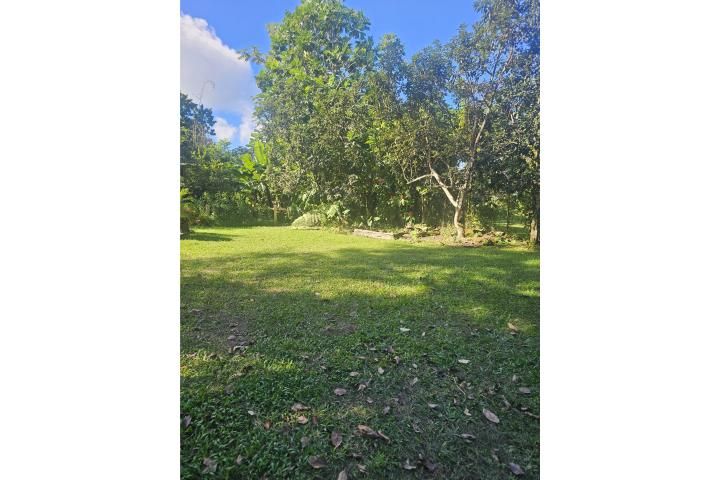 Jagüeyes Aguas Buenas 00703 PR
