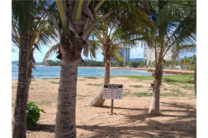 97ph+7f3 Luquillo 00773 PR