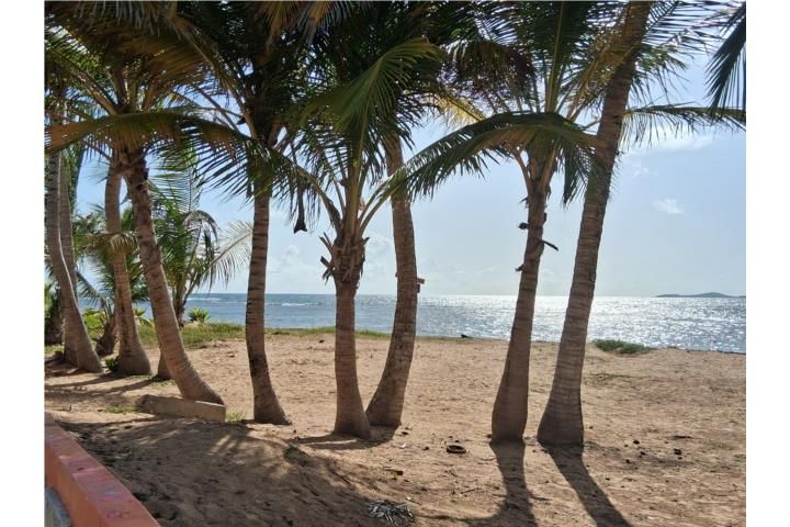 97ph+7f3 Luquillo 00773 PR