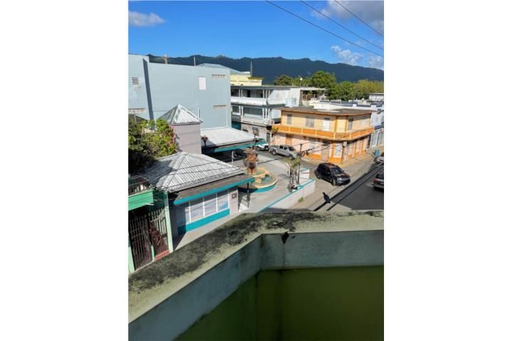Gurabo Gurabo 00778 PR