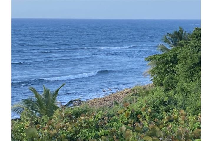 Carr 686 Bo Vega Baja 00693 PR