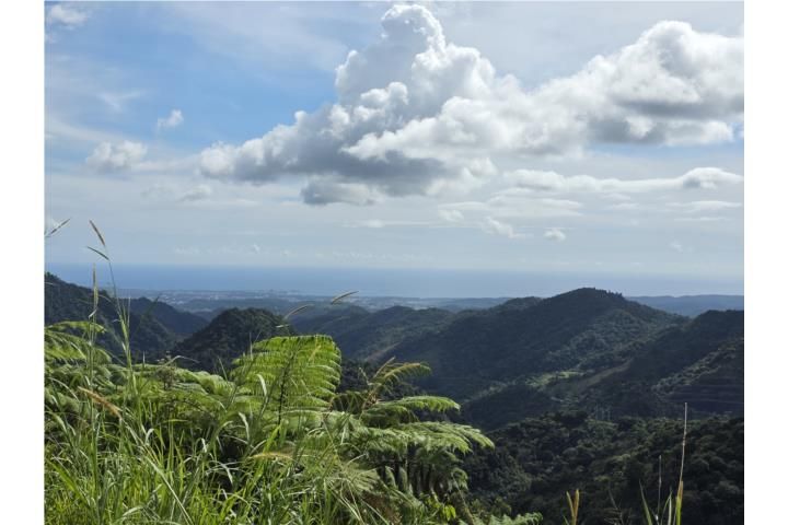 Hacienda La Mocha Ponce 00731 PR