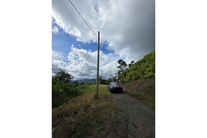 Hacienda La Mocha Ponce 00731 PR