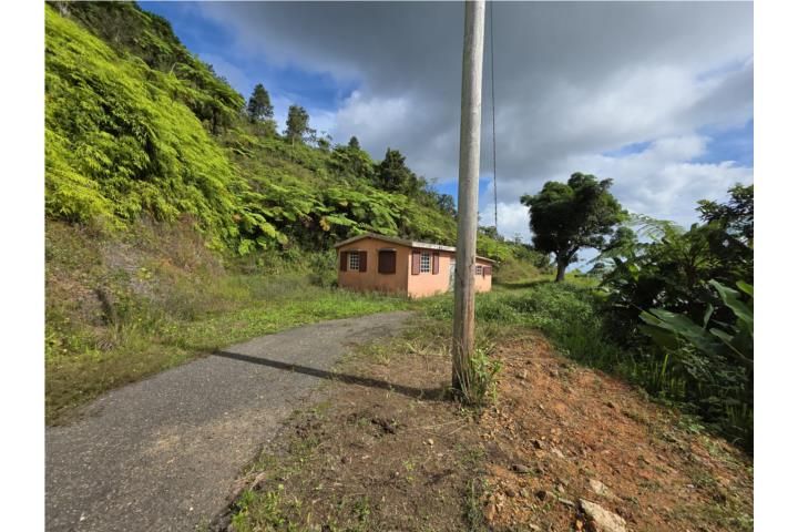 Hacienda La Mocha Ponce 00731 PR