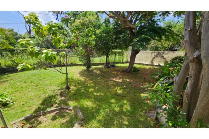 Villa Rosa Guayama 00784 PR