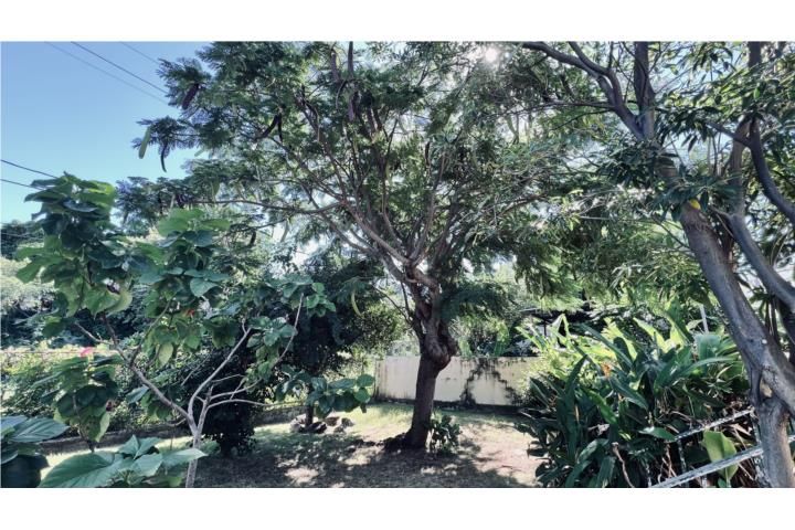 Villa Rosa Guayama 00784 PR