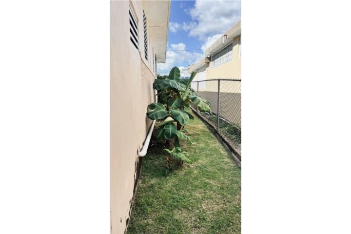 Villa Rosa Guayama 00784 PR