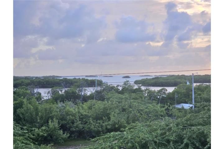La Parguera Lajas 00667 PR