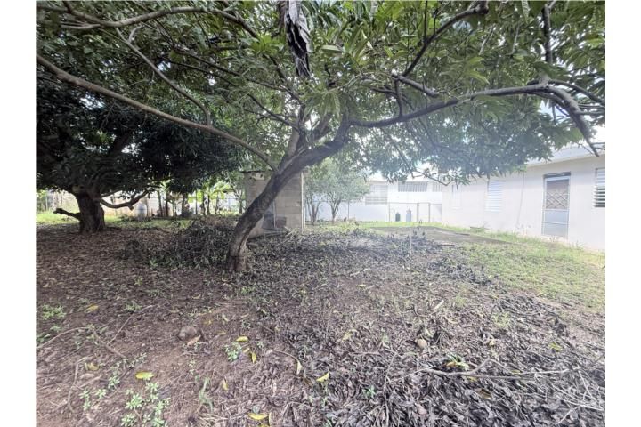 Factor Arecibo 00612 PR