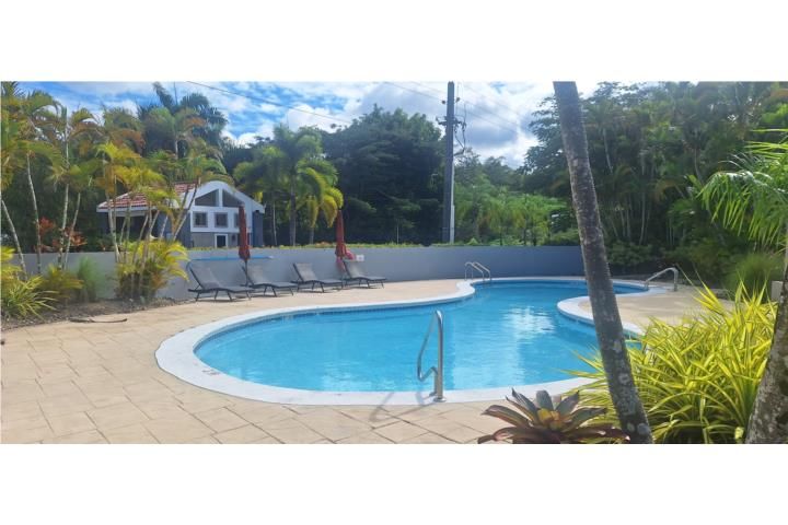 9v4x+fq5 Guaynabo 00971 PR