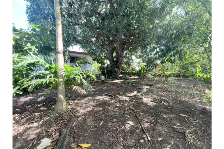 Cll Ulises Ortiz Carolina 00985 PR