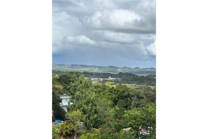 Morovis Sur Morovis 00687 PR