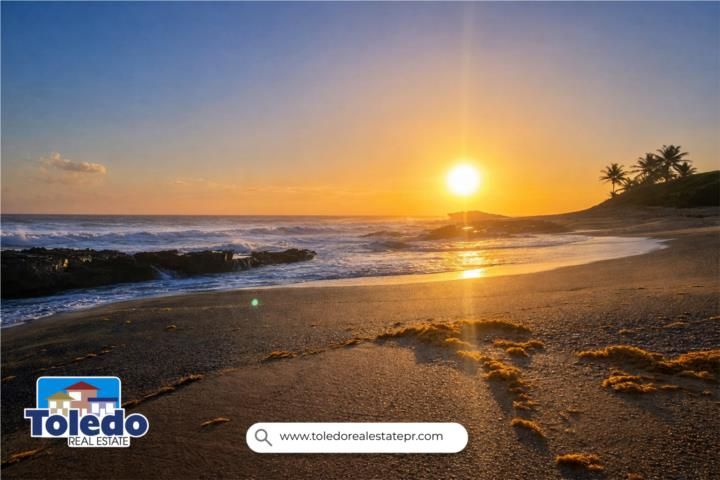 Costa Nte. Hatillo 00659 PR