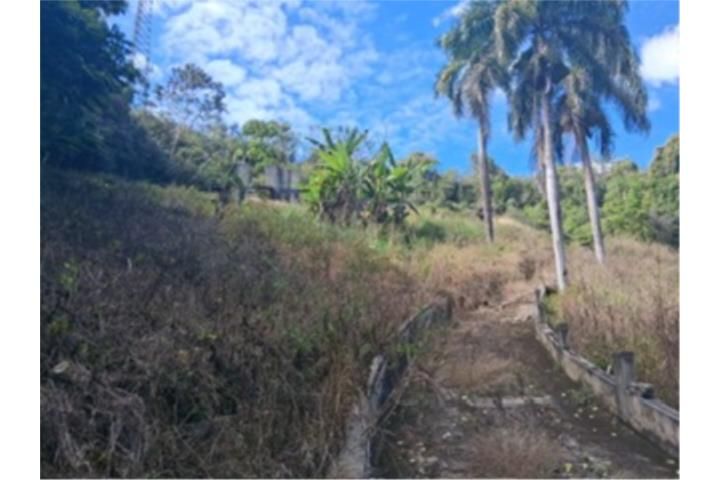 Franquez Morovis 00687 PR