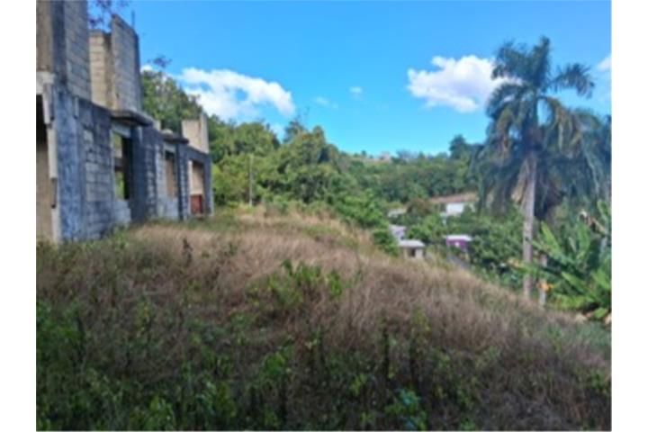 Franquez Morovis 00687 PR