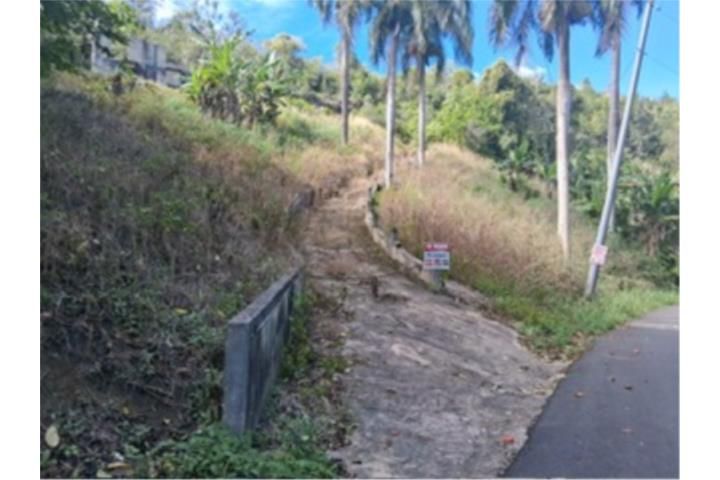 Franquez Morovis 00687 PR