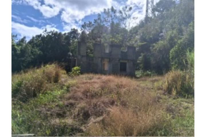 Franquez Morovis 00687 PR